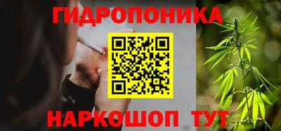 гашик Кимры